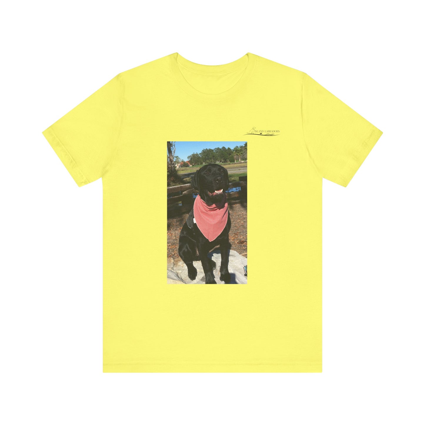 Coastie Black Lab