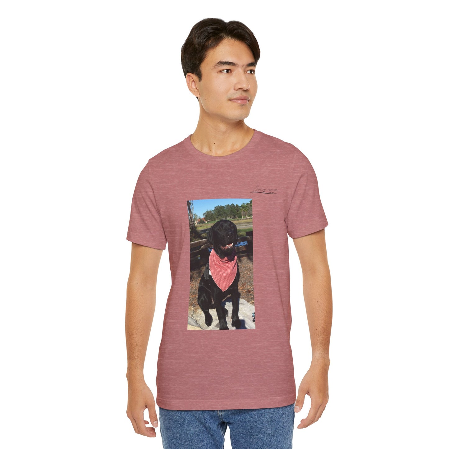Coastie Black Lab