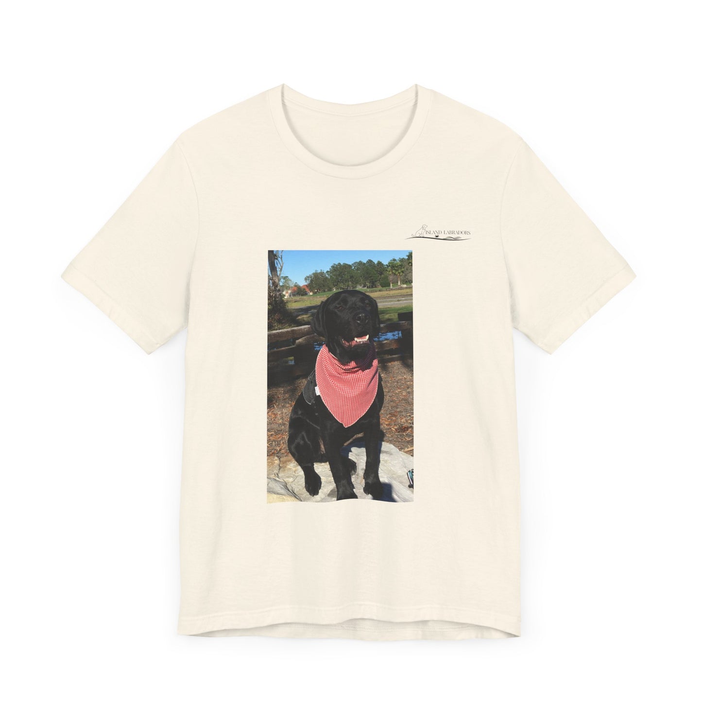 Coastie Black Lab