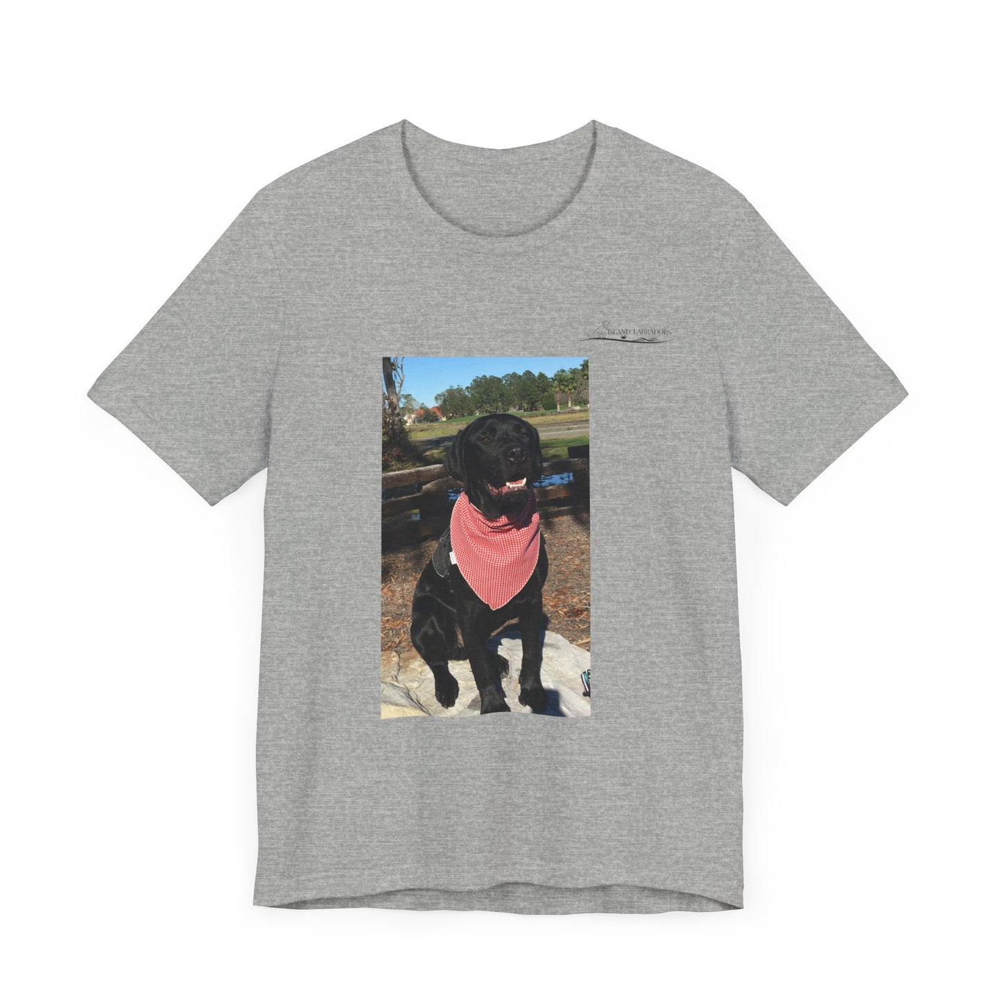 Coastie Black Lab