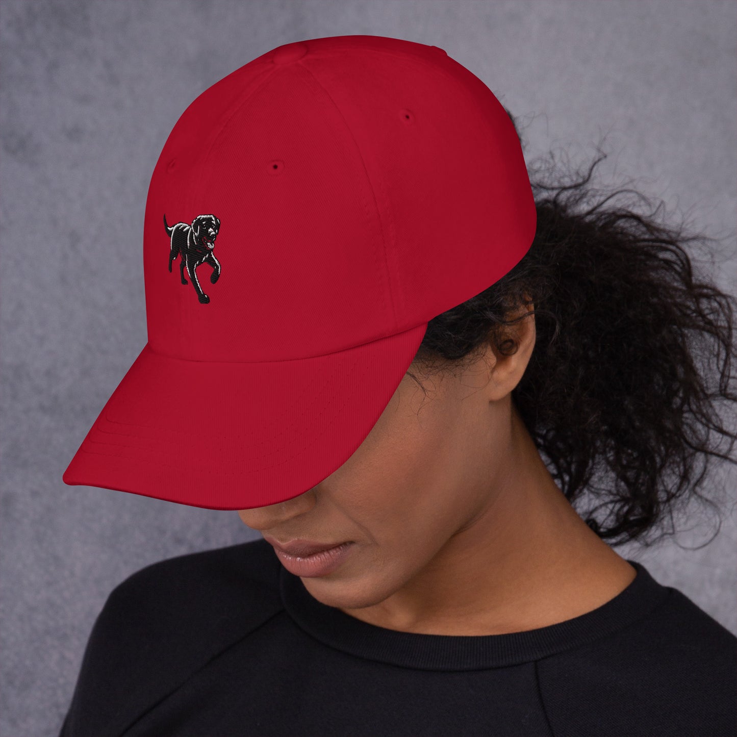 Jetty Black Lab Dad hat