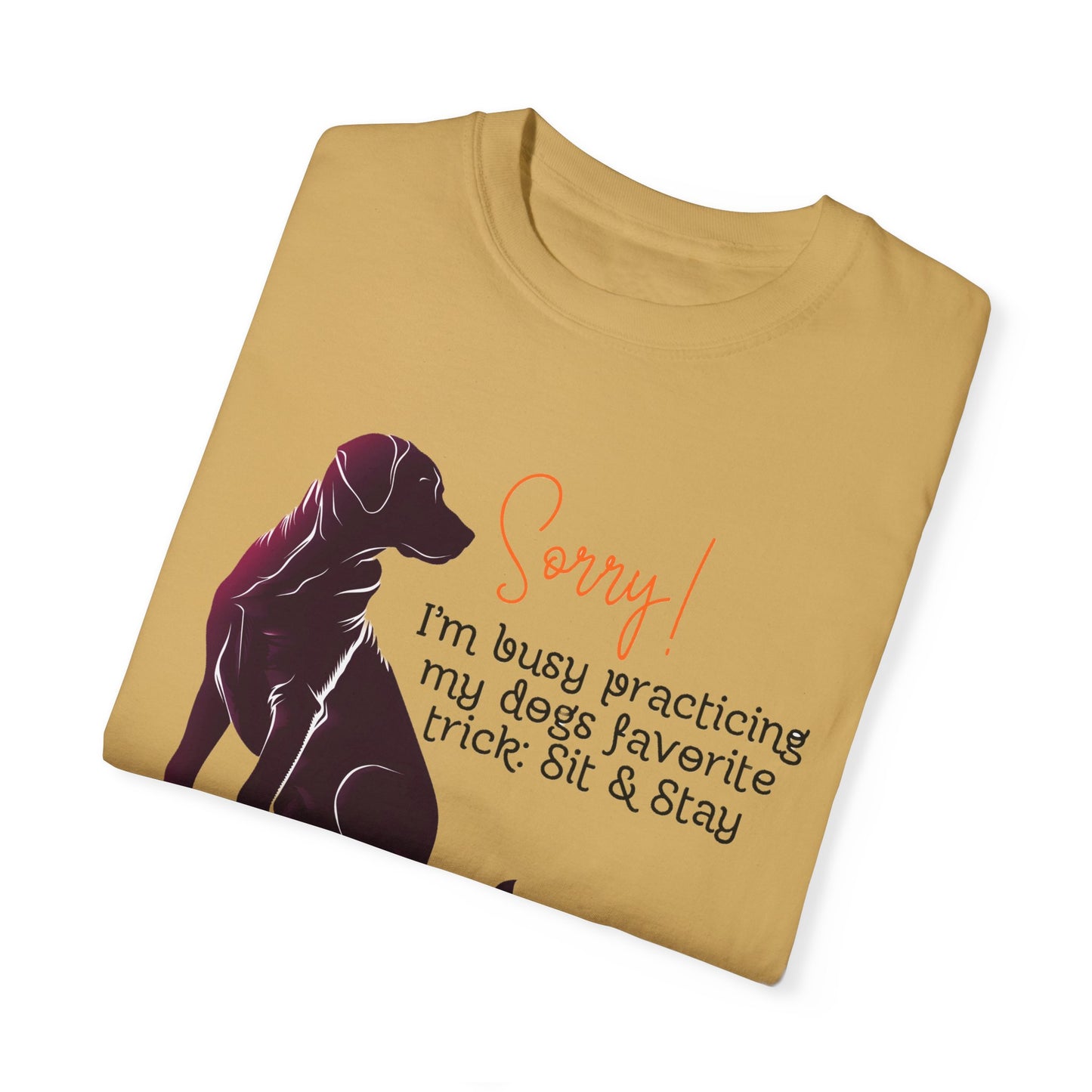 Labrador - Sorry, practicing my dogs favorite trick, sit and stay
