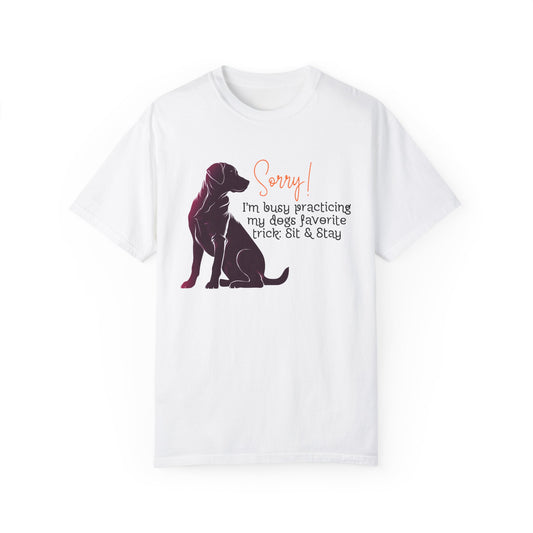 Labrador - Sorry, practicing my dogs favorite trick, sit and stay