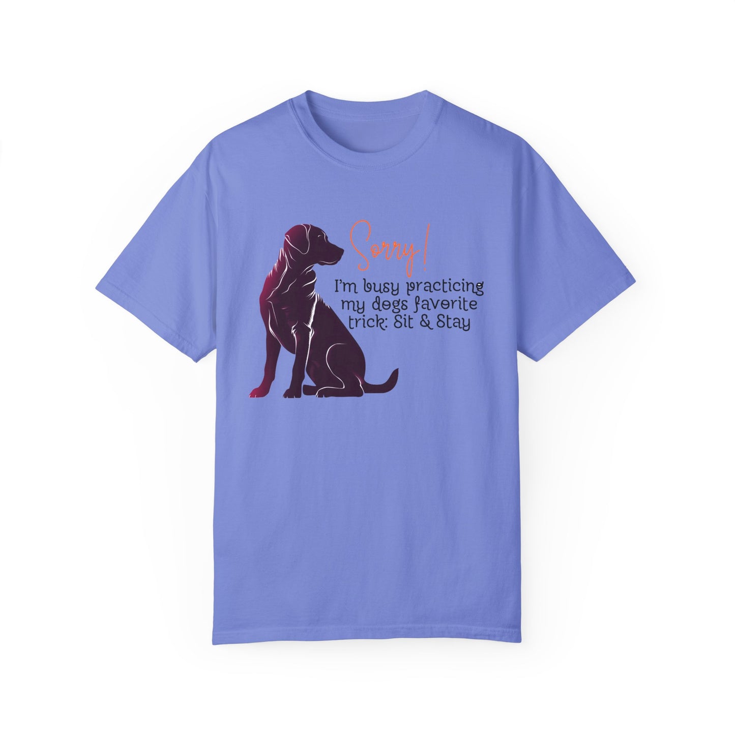 Labrador - Sorry, practicing my dogs favorite trick, sit and stay