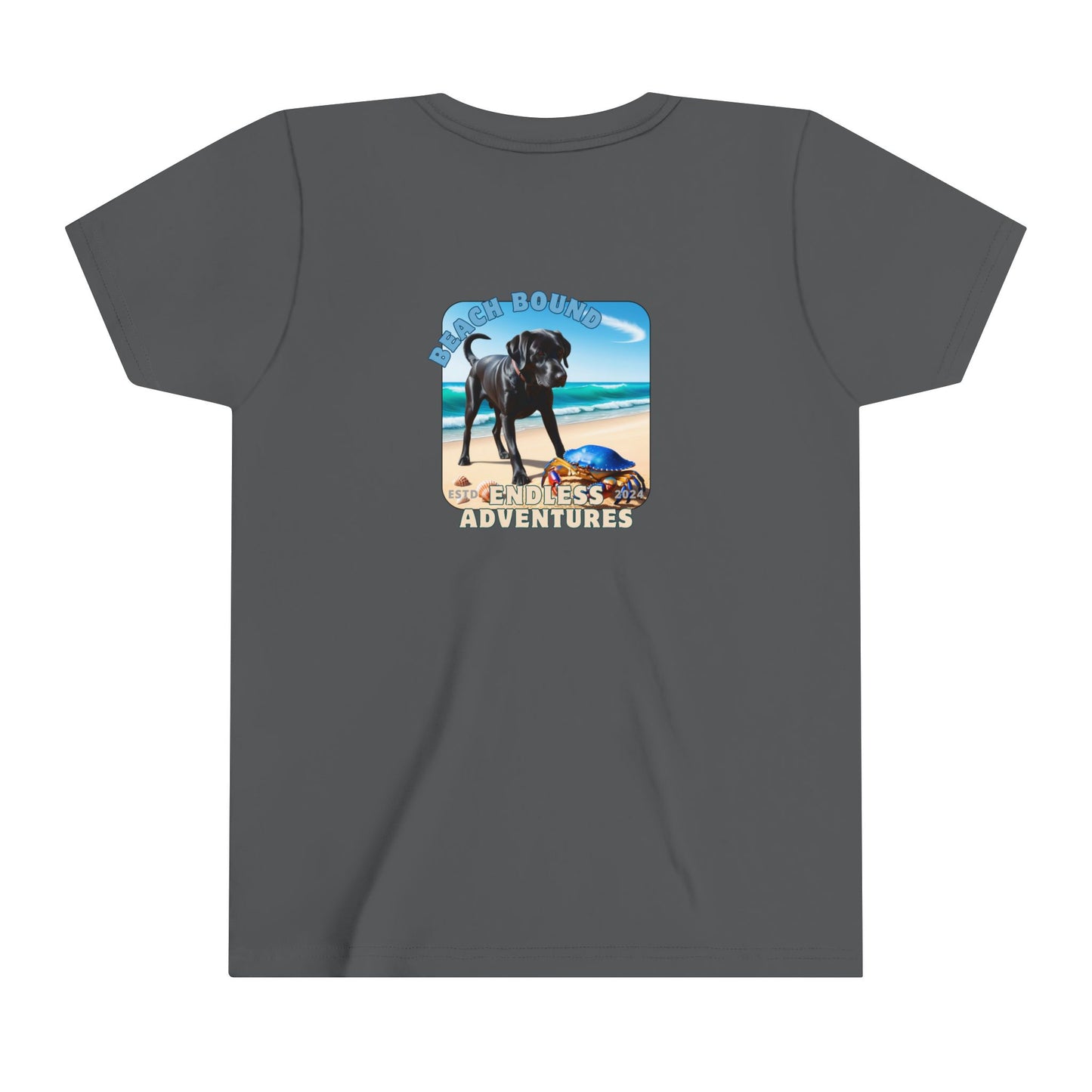 Jetty’s Adventures, Labrador, dog, Beach, puppy, fun, puppy,