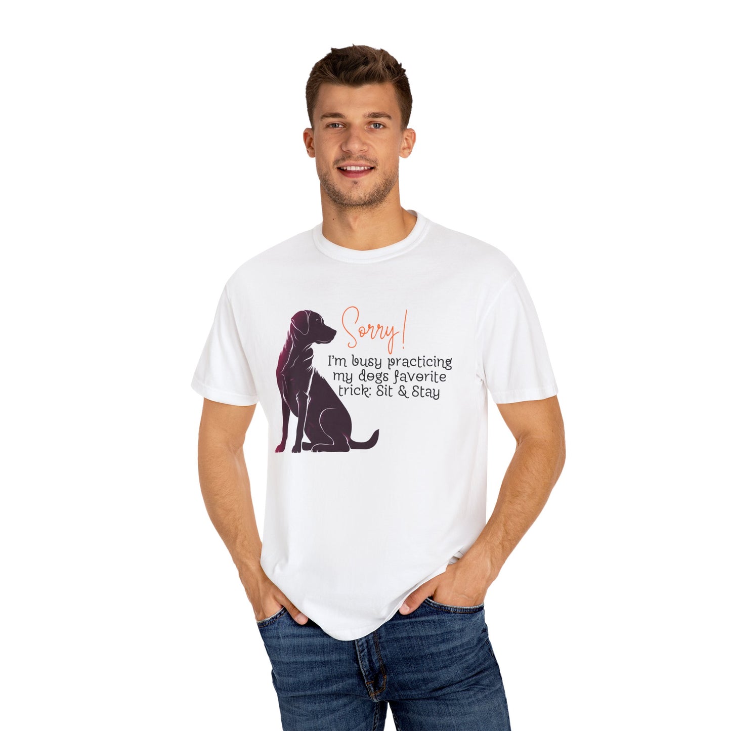Labrador - Sorry, practicing my dogs favorite trick, sit and stay