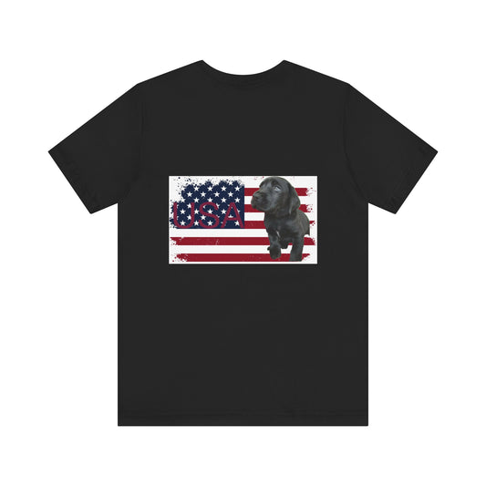 Patriate Forth of July black Lab
