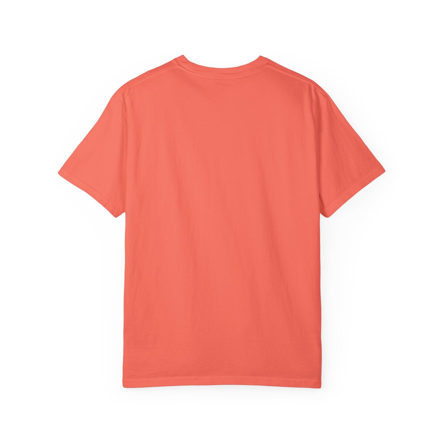 Jetty’s Adventures, Unisex Garment-Dyed T-shirt, #Jettysadventures, #bigdog,