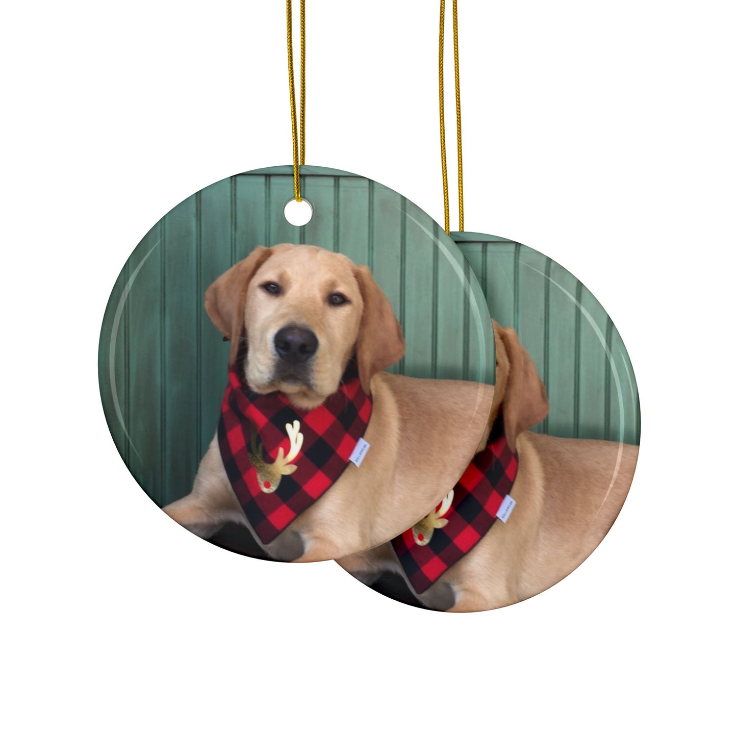 Yellow Labrador Christmas joyful, Christmas dog,  joyful Christmas