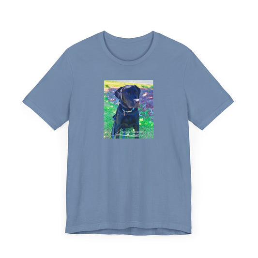 Coastie Black Labby