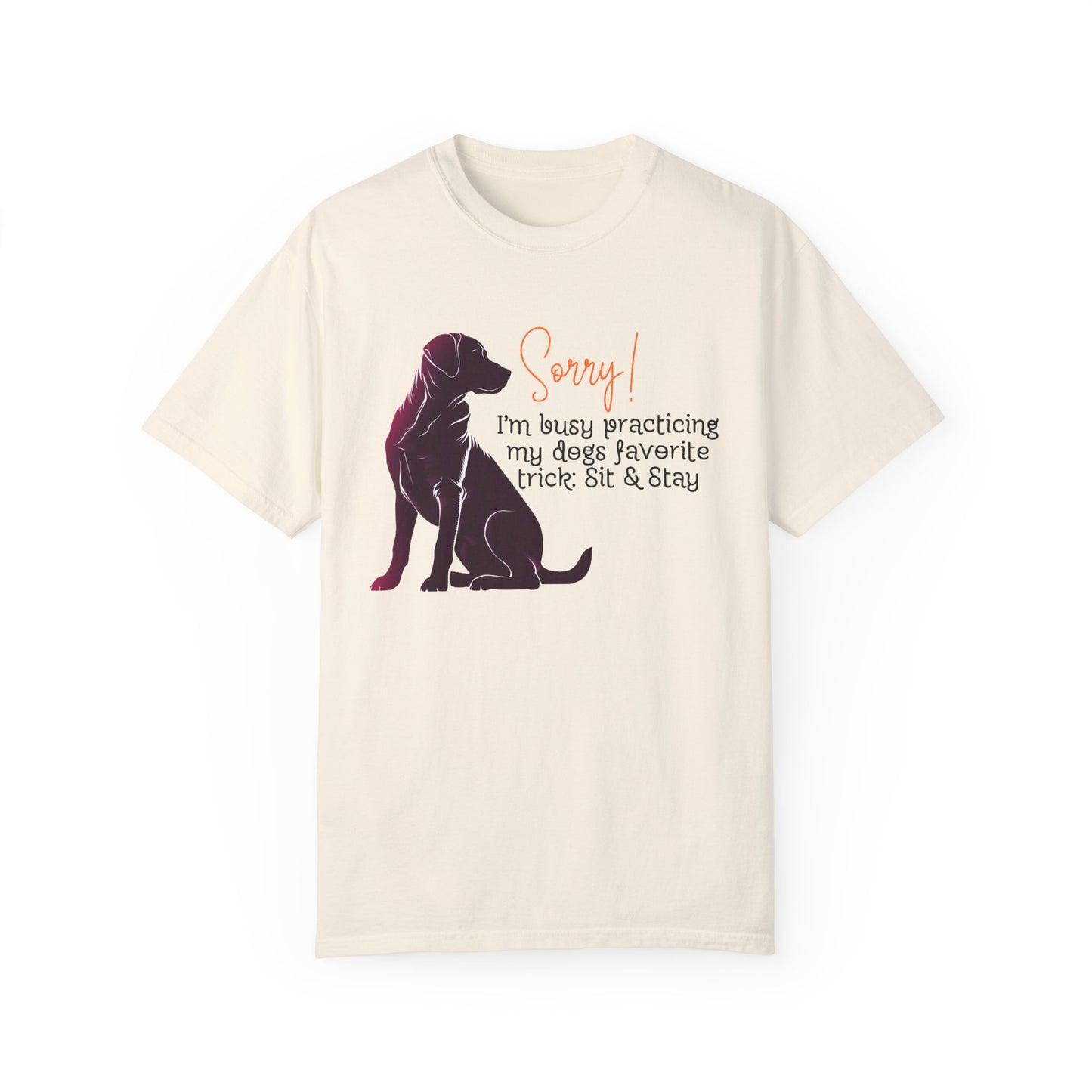 Labrador - Sorry, practicing my dogs favorite trick, sit and stay