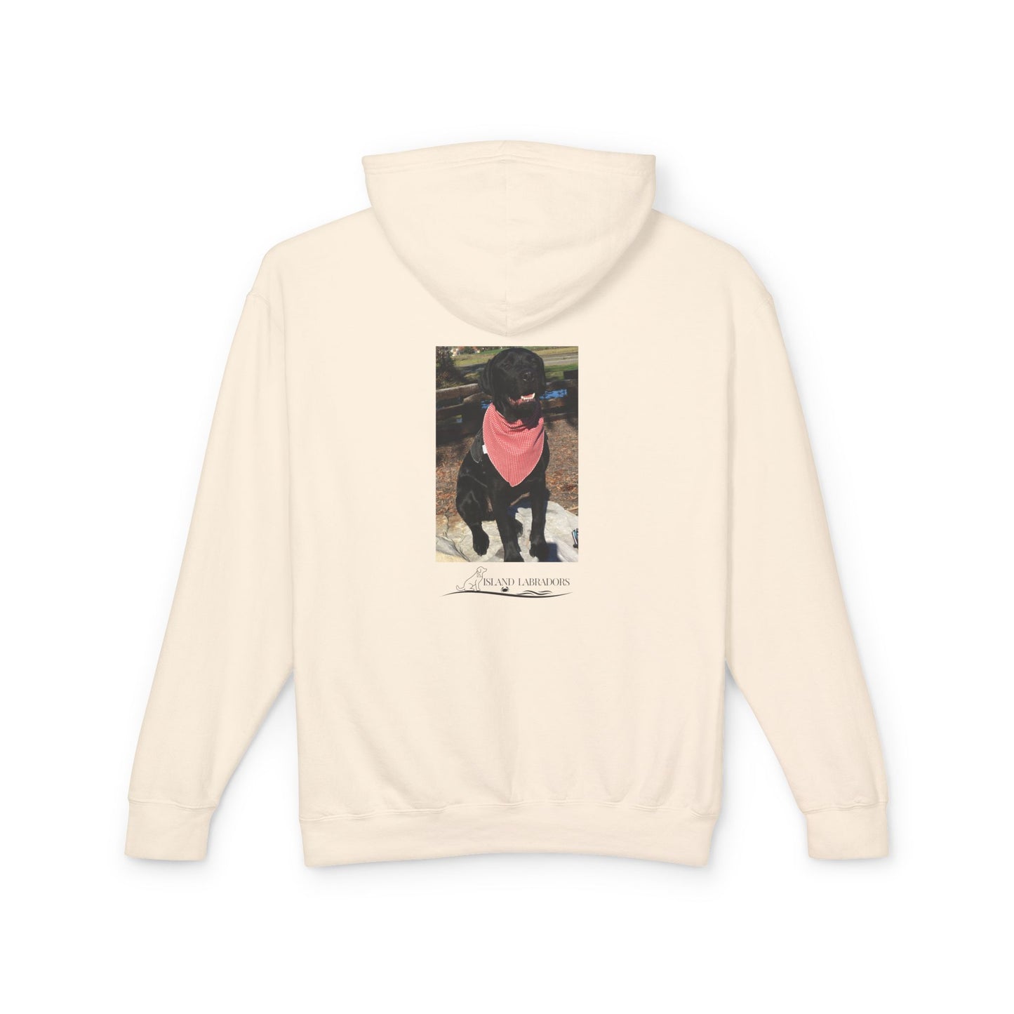 Coastie Service Dog