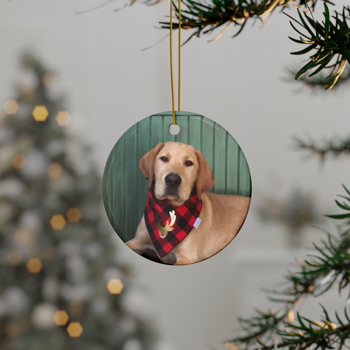 Yellow Labrador Christmas joyful, Christmas dog,  joyful Christmas