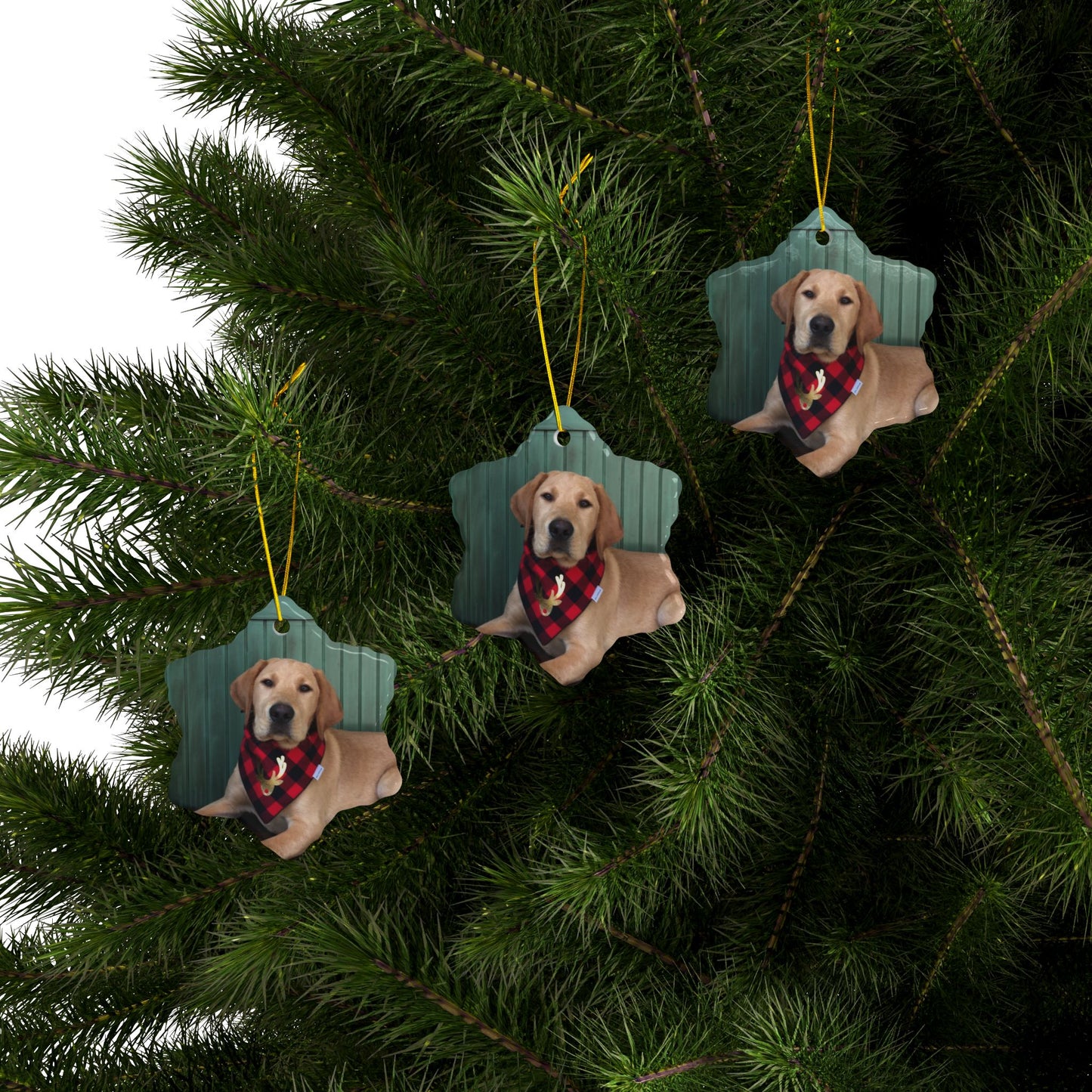 Yellow Labrador Christmas joyful, Christmas dog,  joyful Christmas