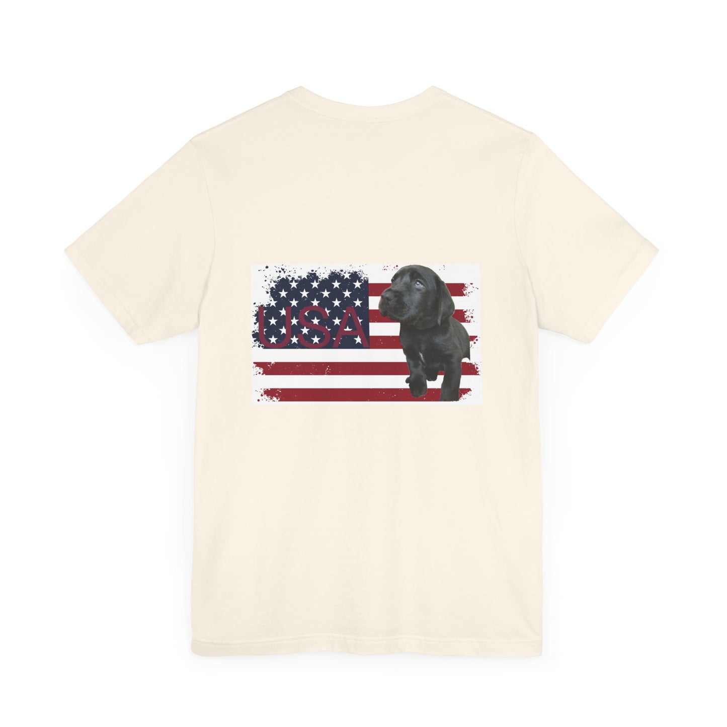 Patriate Forth of July black Lab