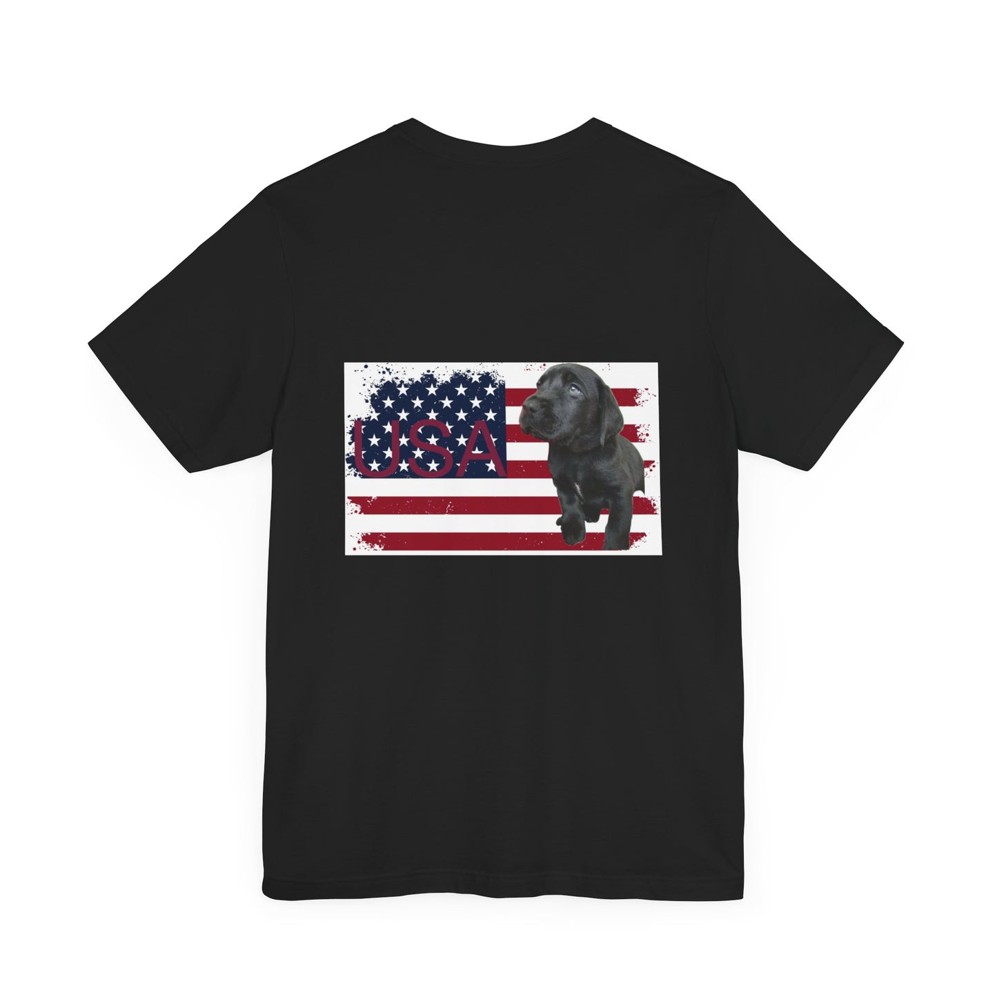 Patriate Forth of July black Lab