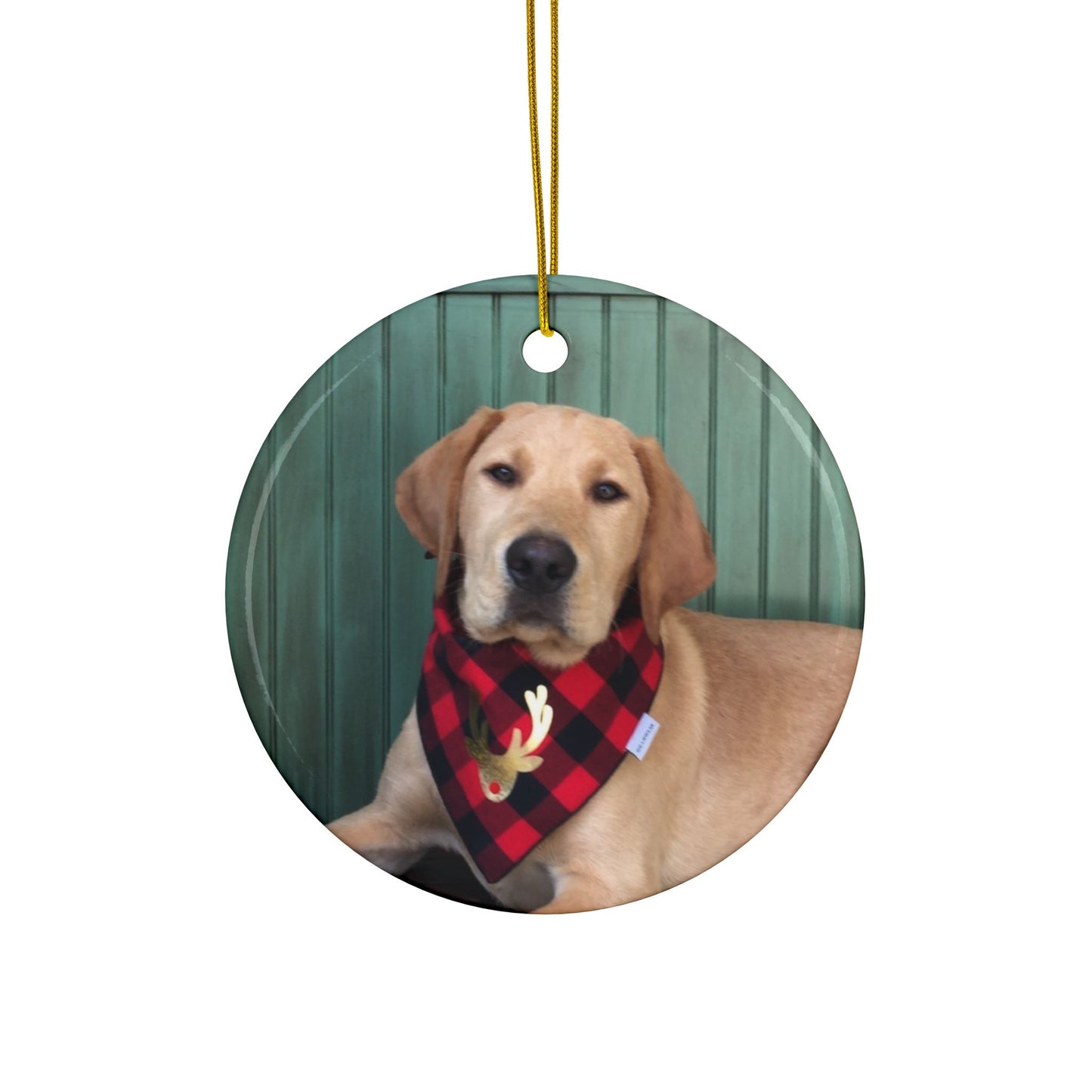 Yellow Labrador Christmas joyful, Christmas dog,  joyful Christmas