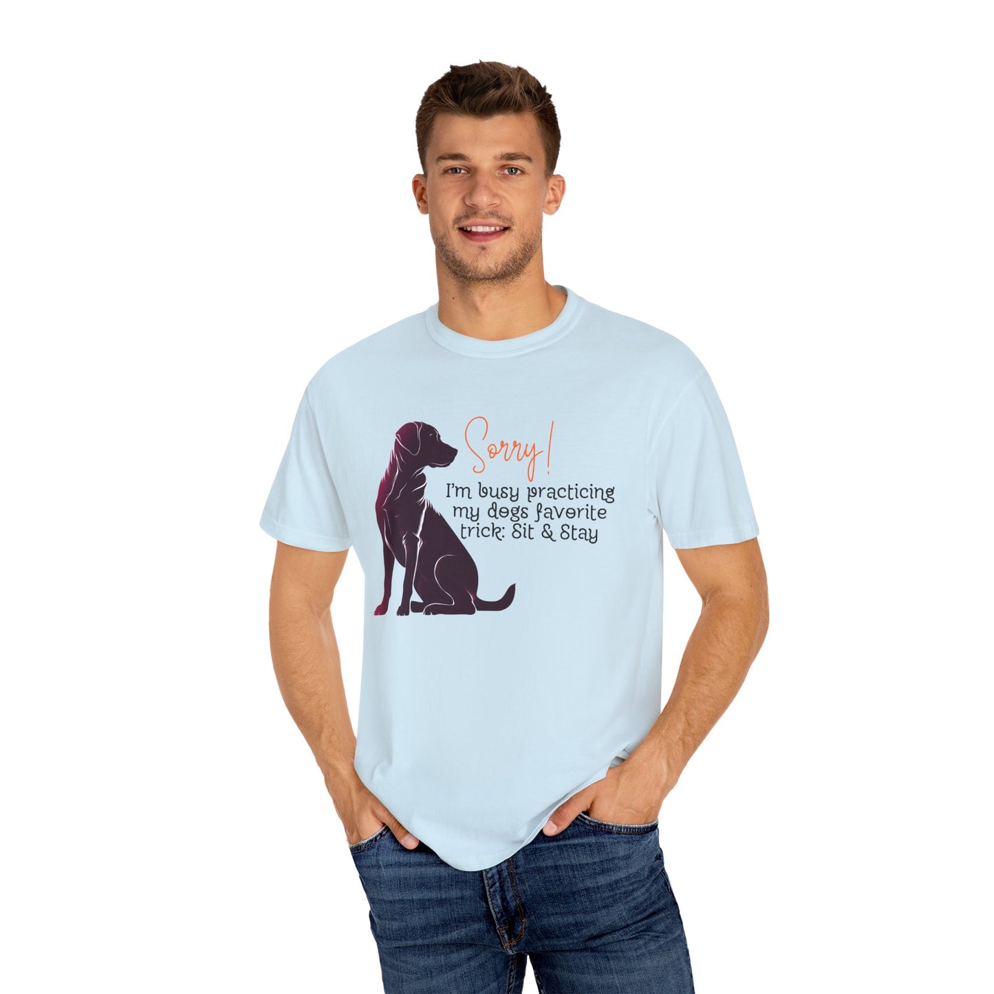 Labrador - Sorry, practicing my dogs favorite trick, sit and stay