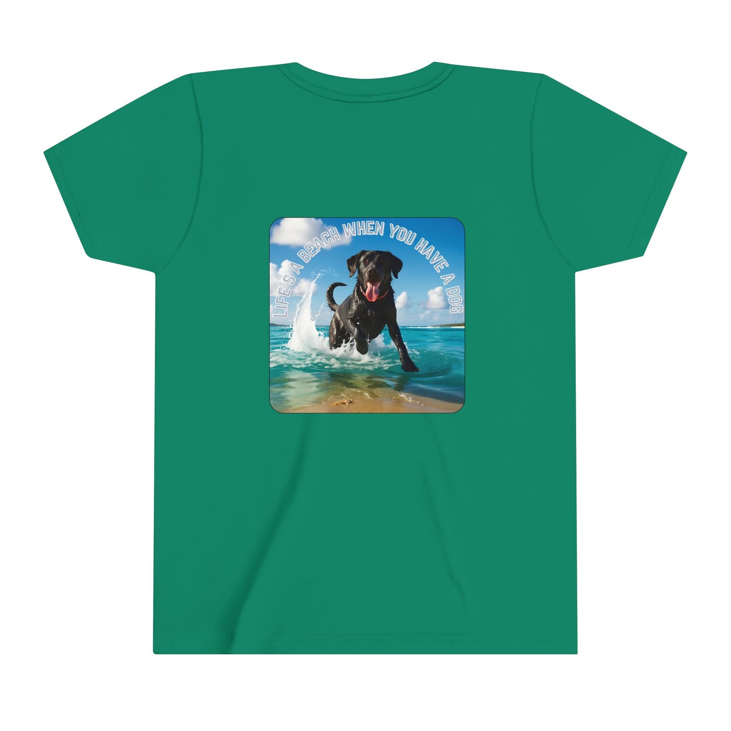 Life’s a beach when you have your dog, Jetty's Adventures