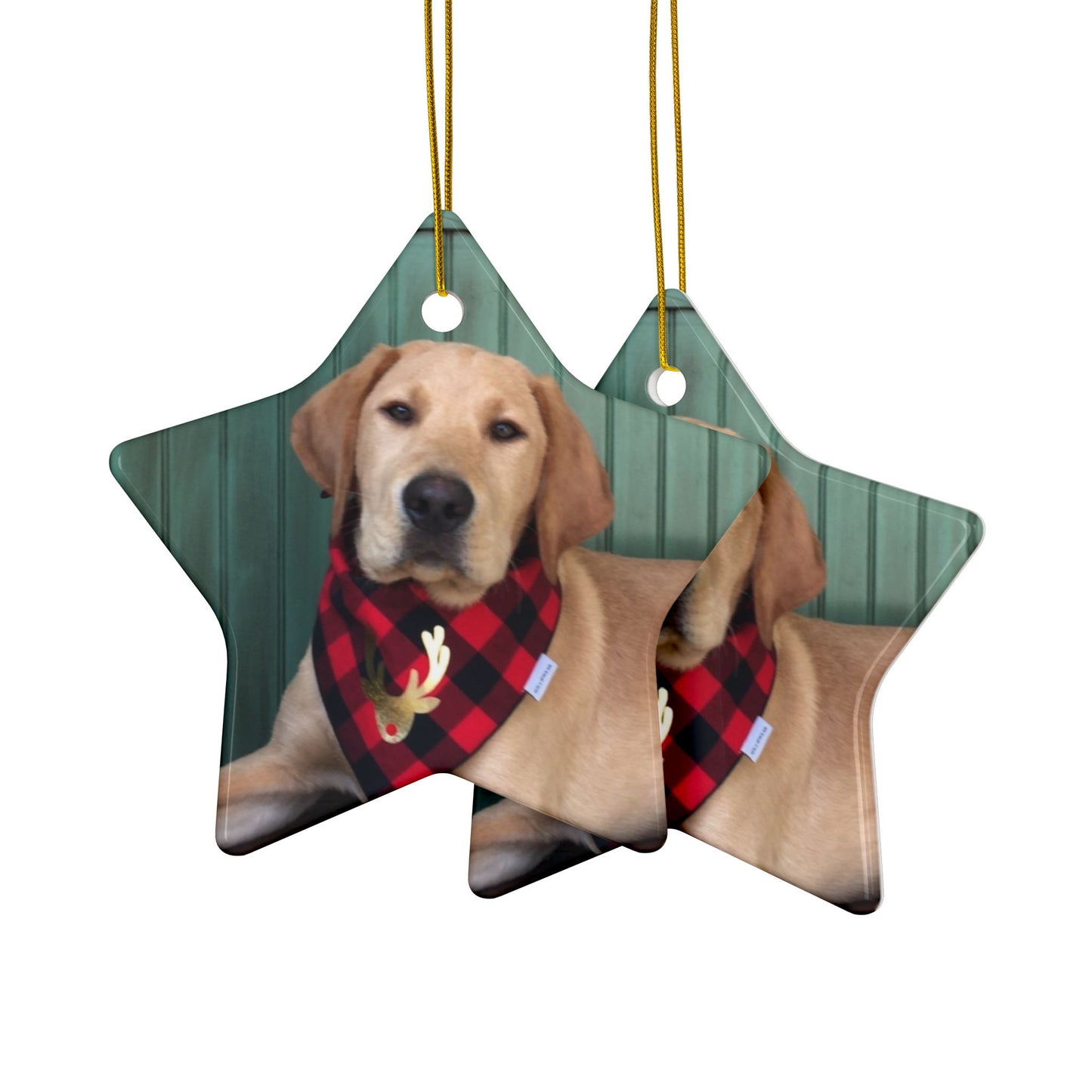 Yellow Labrador Christmas joyful, Christmas dog,  joyful Christmas