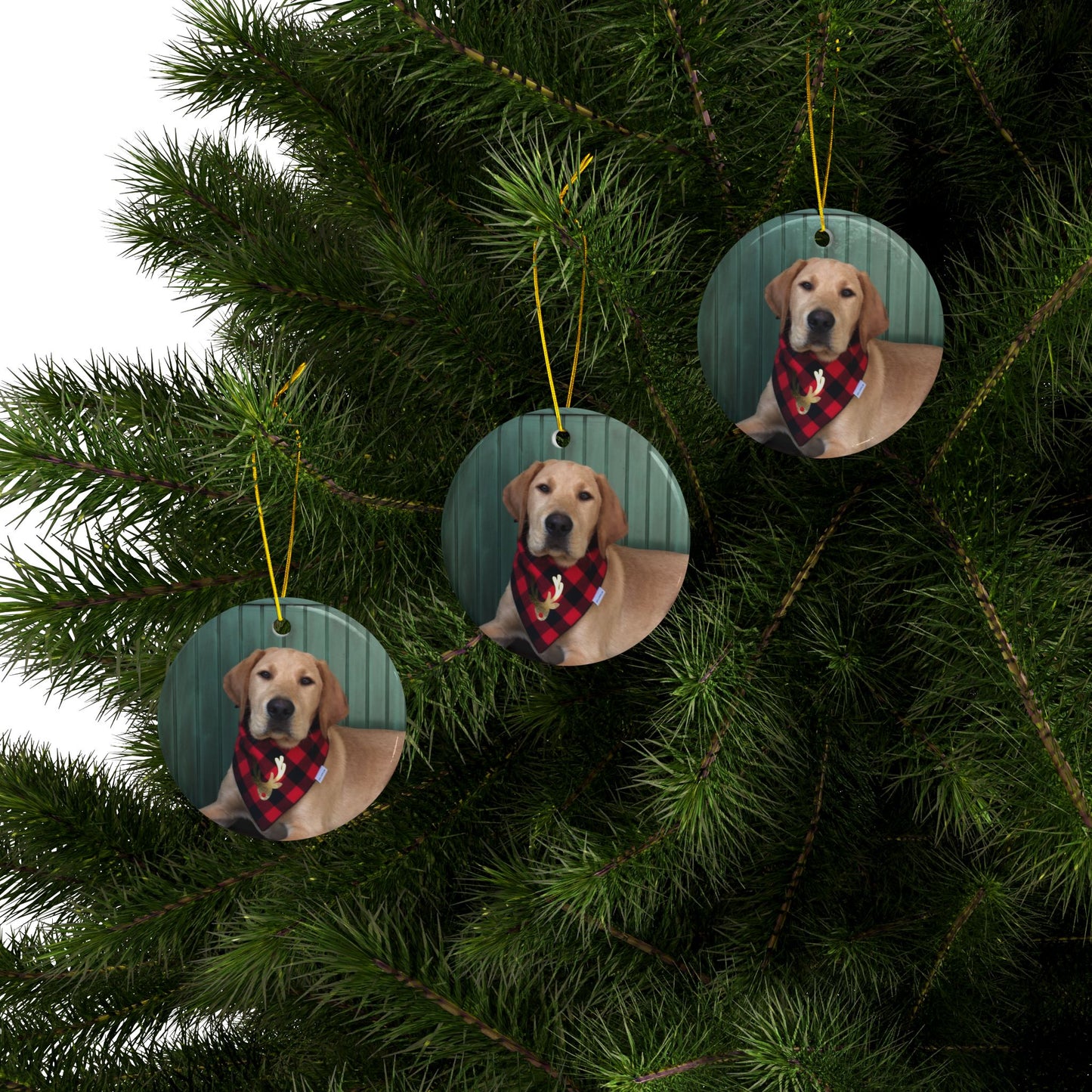 Yellow Labrador Christmas joyful, Christmas dog,  joyful Christmas
