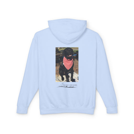 Coastie Service Dog
