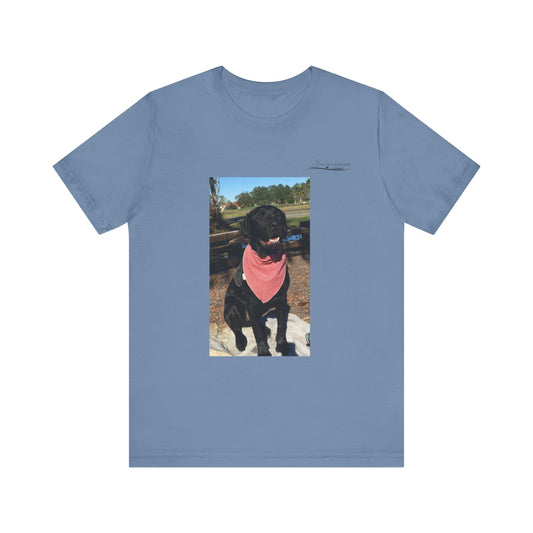 Coastie Black Lab