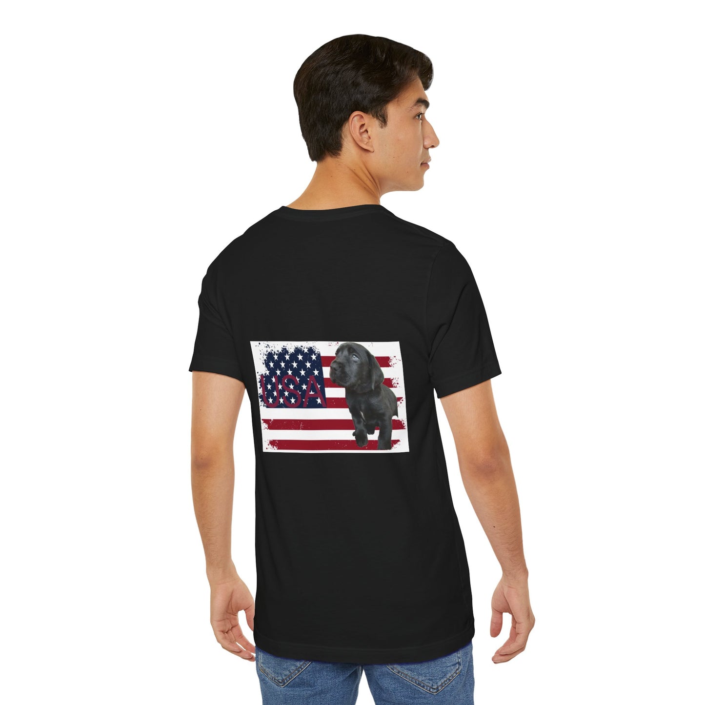 Patriate Forth of July black Lab