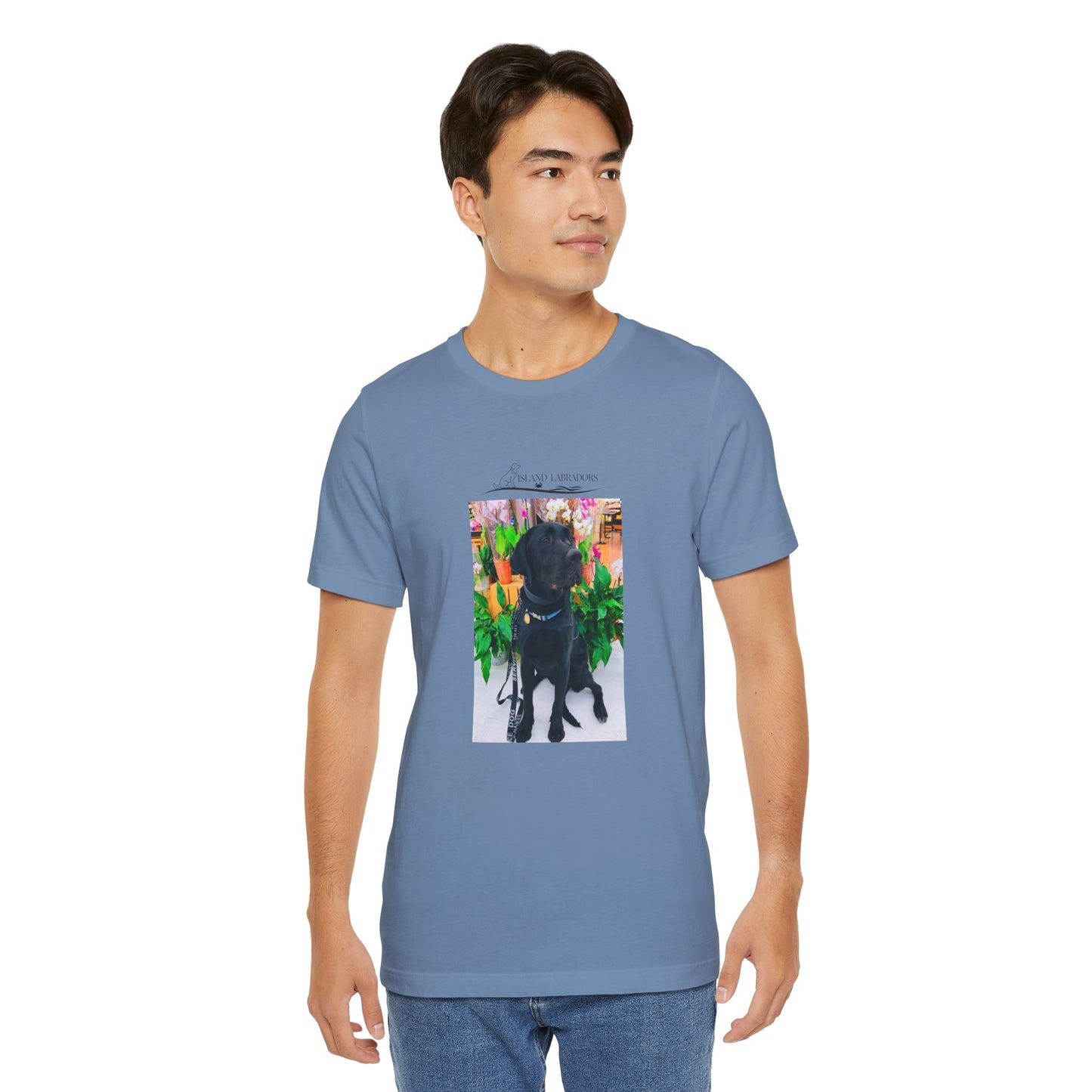 Coastie Service Dog