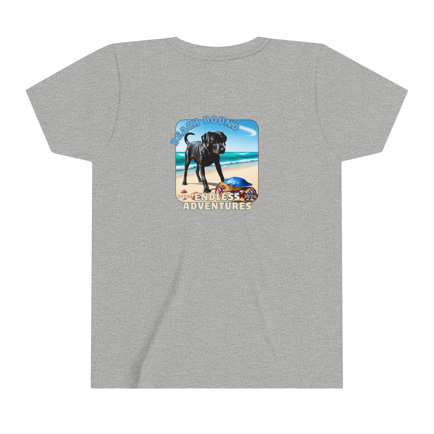 Jetty’s Adventures, Labrador, dog, Beach, puppy, fun, puppy,